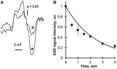 Effects of Laser Radiation on Mitochondria and Mitochondrial Proteins Subjected to Nitric Oxide